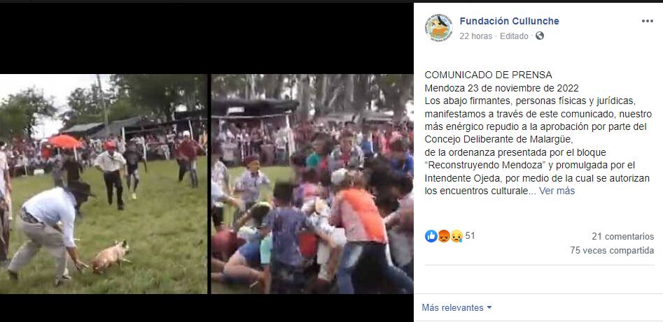 Facebook Fundación Cullunche