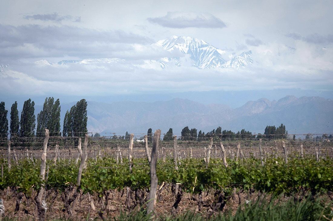 Con el desarrollo agrícola, se inició la construcción del canal Cachingo, sobre la margen Norte del río Mendoza. Foto: Ignacio Blanco/ Los Andes