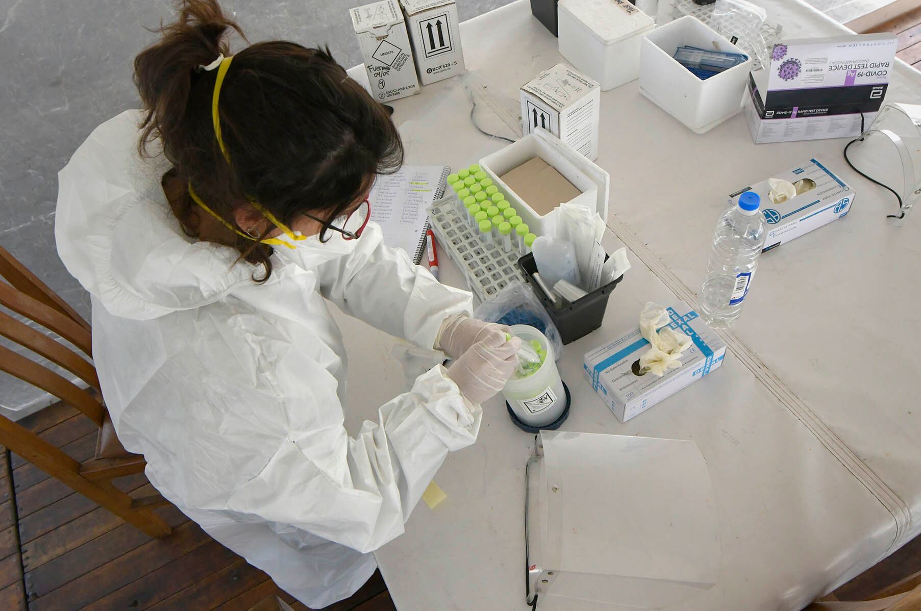 Personal de la salud realizando un test para detectar coronavirus.

Foto Orlando Pelichotti / Los Andes
