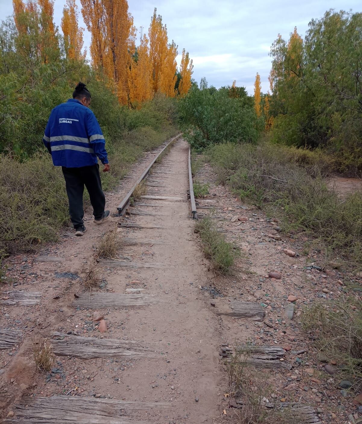 Robo de rieles y material ferroviario: cómo están las vías de Mendoza y cómo se controla su estado. Foto: Gentileza Ferrotur Andino