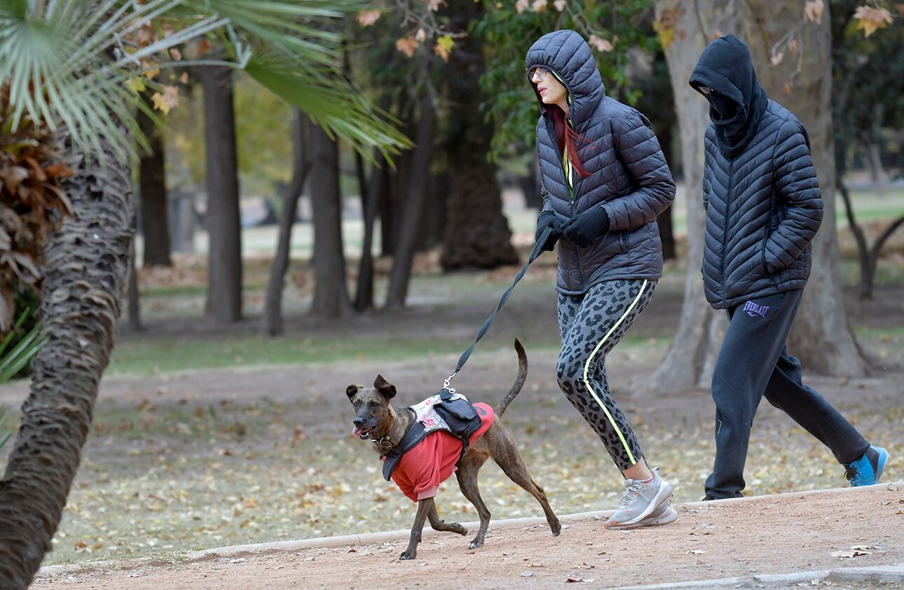 Durante el día sábado el clima presentó temperaturas agradables y se estima que el domingo continuen de la misma manera.

Foto:  Orlando Pelichotti

