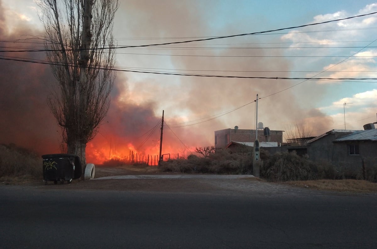 Zonda: incendio en Los Corralitos, Guaymallén (X/ @lachefpatissier)