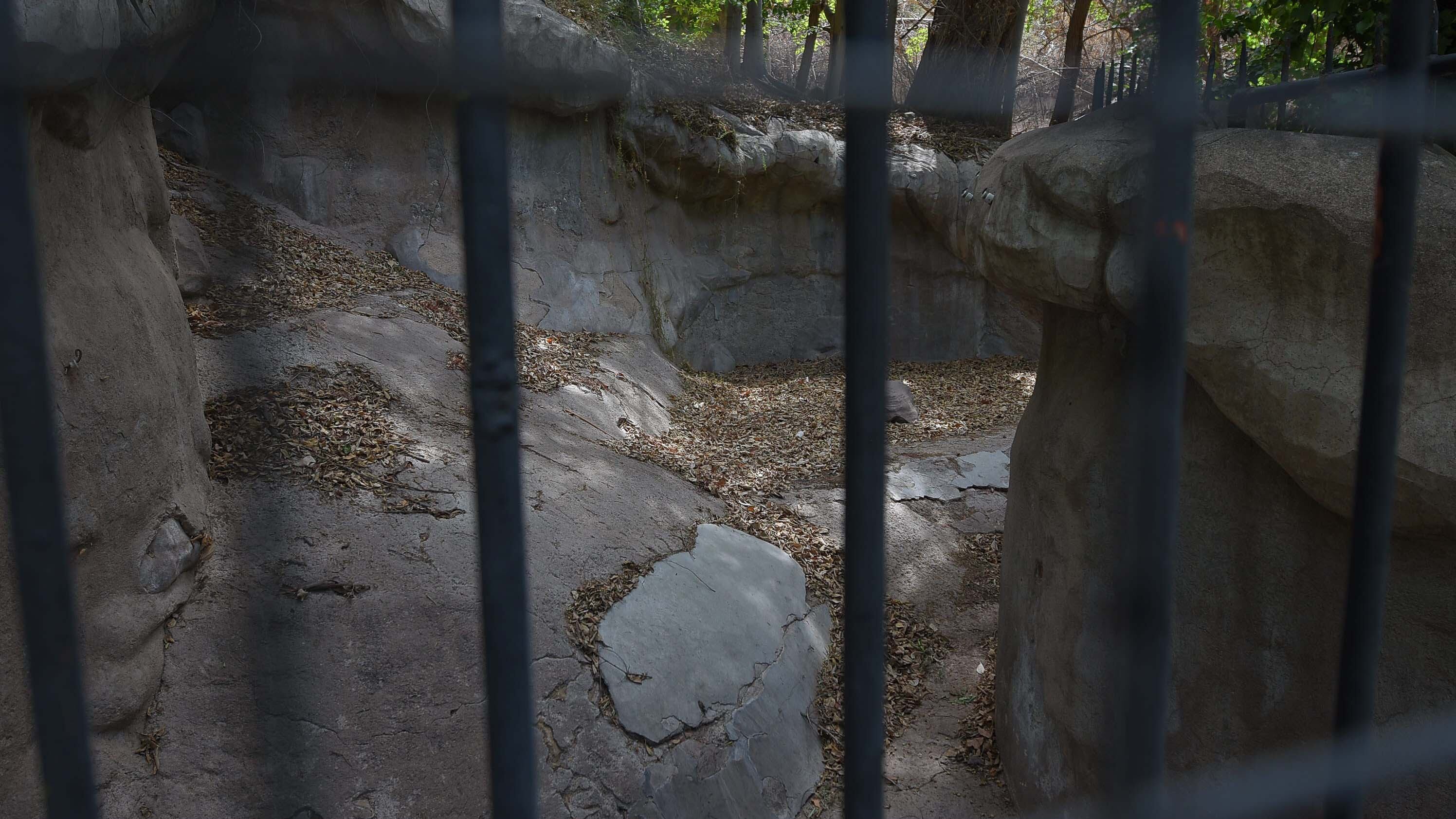 Ecoparque de Mendoza
Antigua fosa del Oso Pardo. Mientras se esperan las obras en el actual Ecoparque algunos animales continuan en el ex zoo de Mendoza  Foto: Claudio Gutiérrez 
