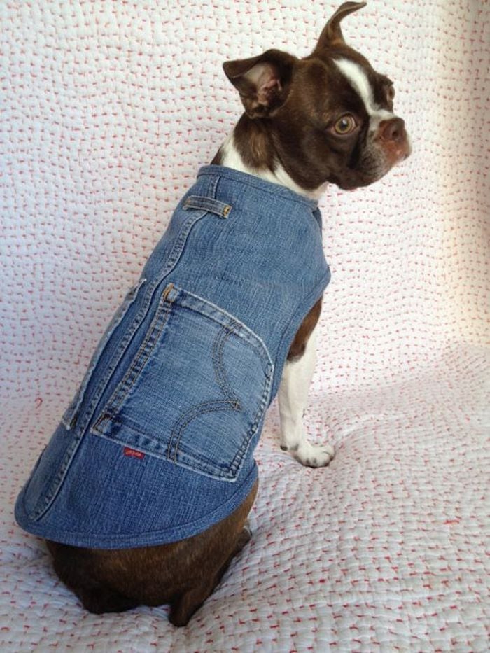 Ropa para mascota de jean