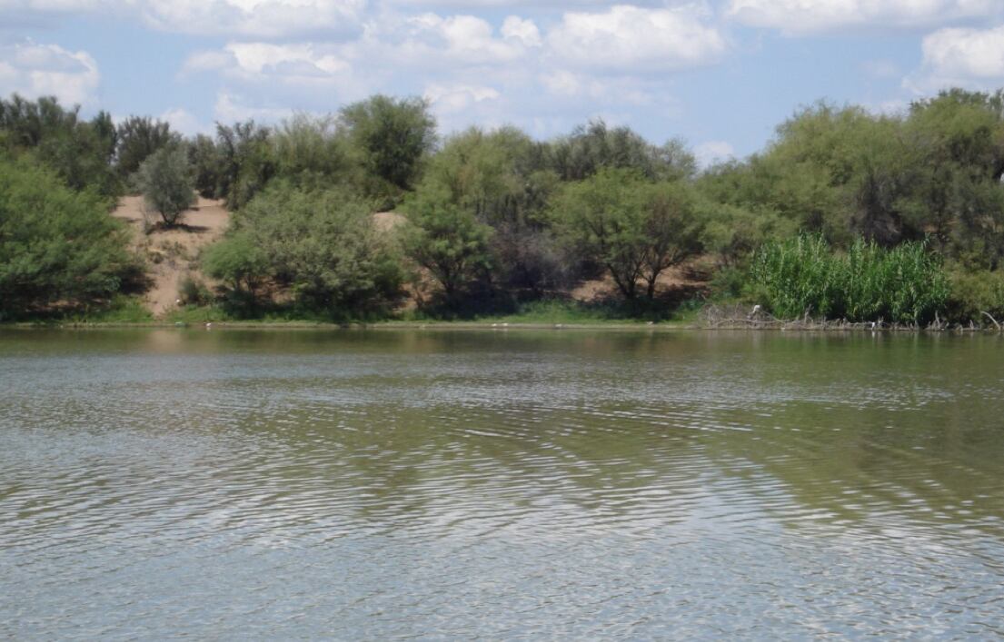 El humedal de Guanacache  cuando llegan caudales del río Mendoza. Gentileza
