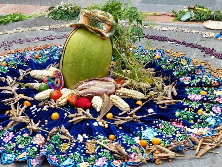 Ceremonia de ofrenda de maíz, hojas de coca, semillas y los mejores frutos de la cosecha anterior.