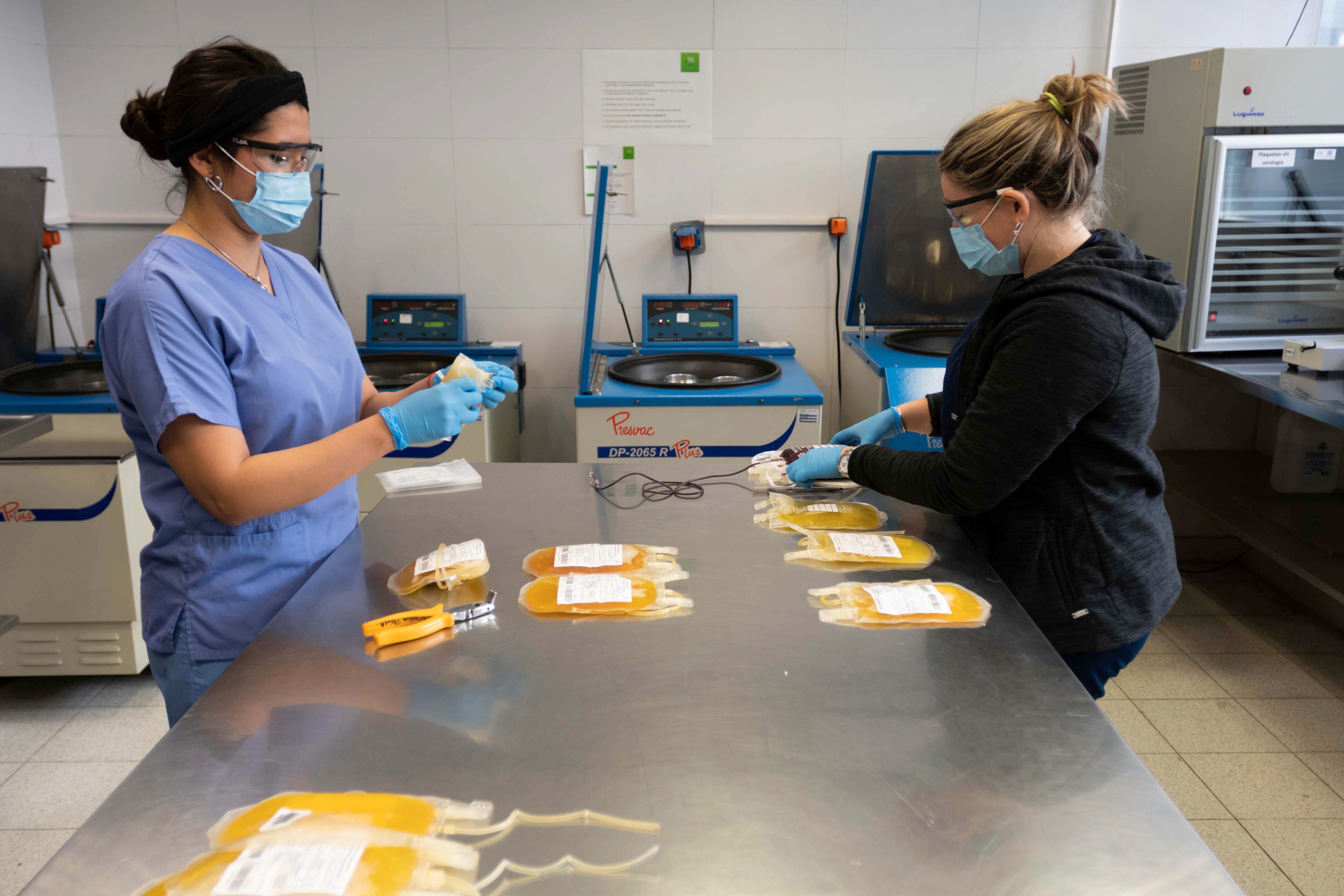 Procedimientos para la extracción de Plasma de pacientes que tuvieron Covid-19