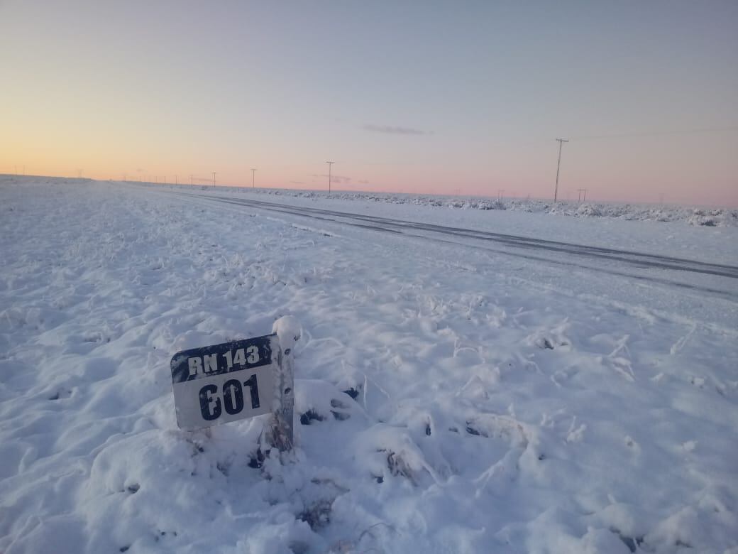 Las rutas 40 y 143 fueron cortadas en algunos tramos y Vialidad trabajó en la limpieza. En tanto en el complejo Horcones se acumularon varios centímetros de nieve.