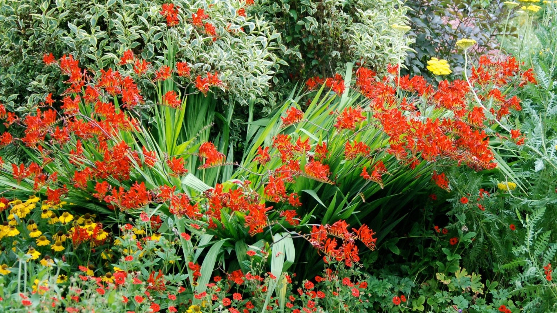 Jardinería