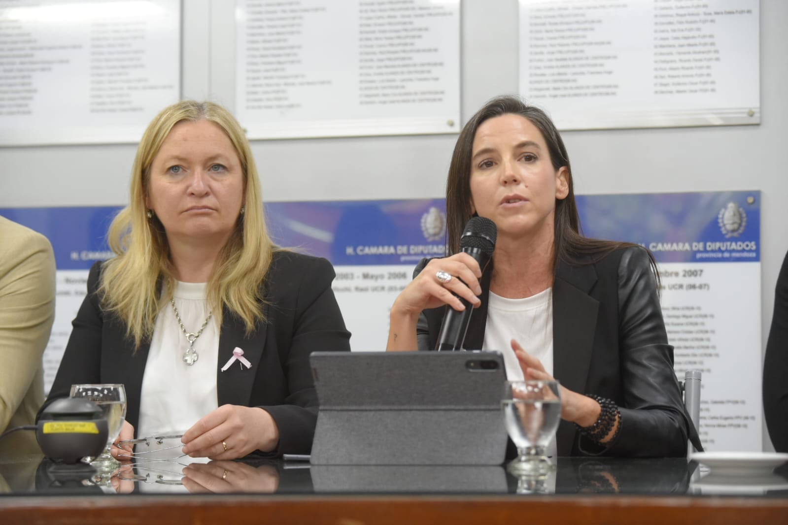 La vicegobernadora Hebe Casado y la ministra de Seguridad, Mercedes Rus. Foto: Prensa Gobierno de Mendoza.