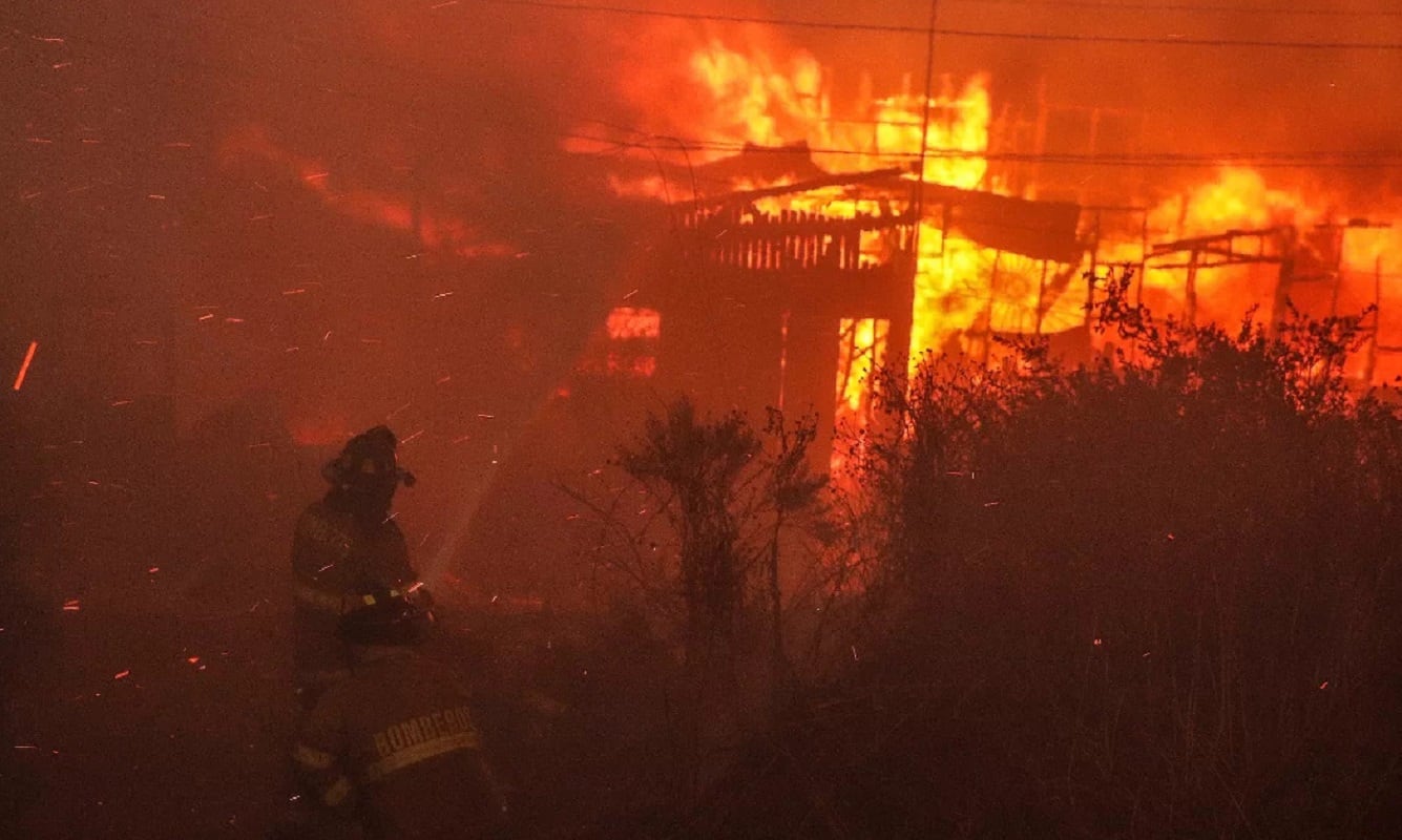 Incendios forestales en Viña del Mar, Chile (Gentileza / Agencia Uno)