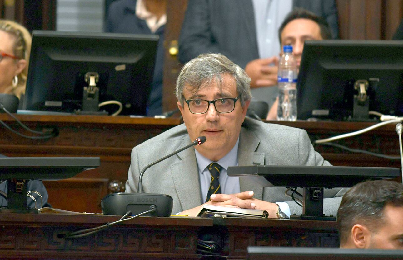 El senador Armando Magistretti

 Foto: Archivo / Los Andes