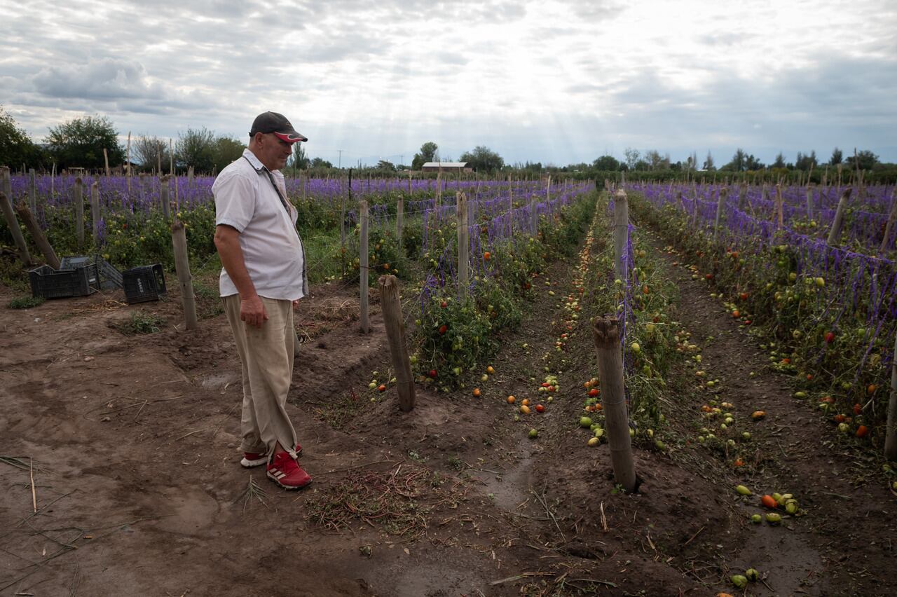 Una fuerte tormenta de lluvia y granizo afectó en horas de la tarde a distritos del Gran Mendoza. Algunas de las localidades más afectadas fueron Fray Luis Beltrán y Rodeo del Medio. | Foto: Ignacio Blanco / Los Andes 
