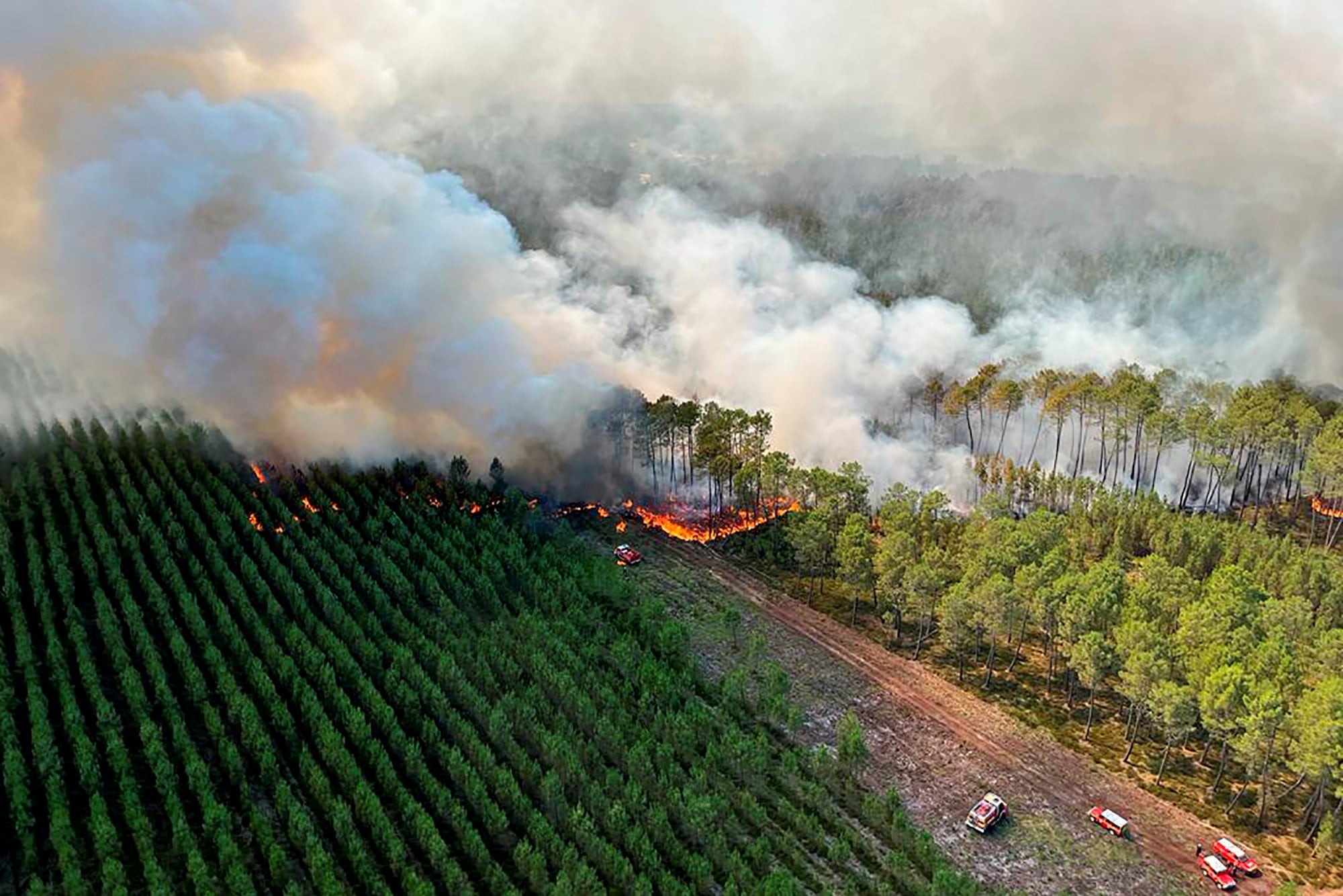 En esta fotografía proporcionada por el cuerpo de bomberos de la región de Gironde (SDIS33) se muestra un incendio forestal cerca de Landiras, en el suroeste de Francia. Una serie de incendios forestales está arrasando partes de Europa, con bomberos combatiendo incendios en Portugal, España y el sur. Francia el miércoles en medio de una ola de calor inusual que las autoridades vinculan con el cambio climático.