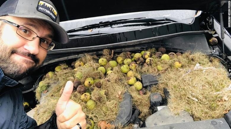 Así encontraron el motor de un auto familiar cuando quisieron hacer un viaje.