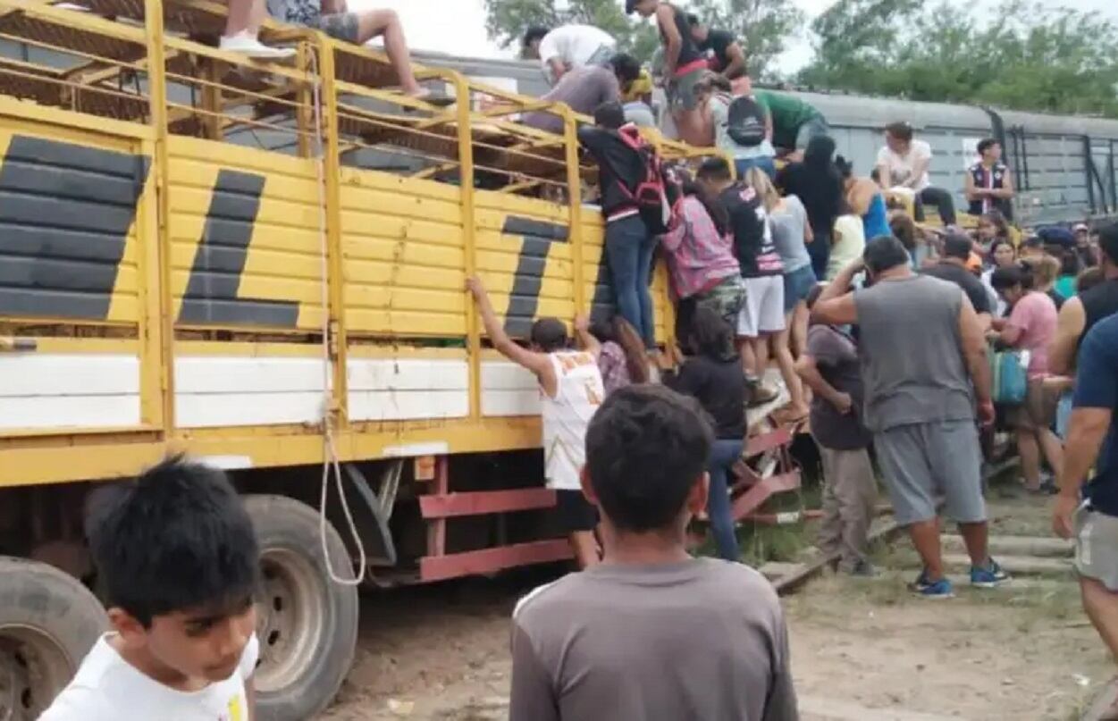 Saquearon y faenaron vacas de un camión chocado por un tren en Santiago del Estero (Gentileza)