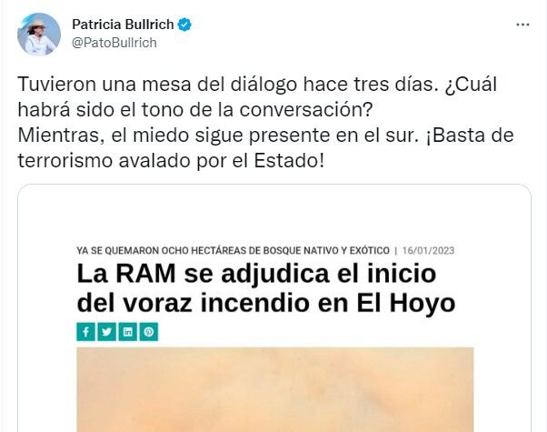 El tweet de Bullrich.