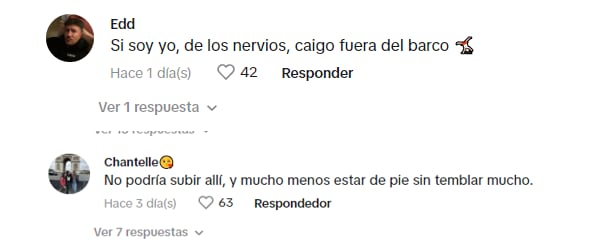 Los comentarios de varios usuarios luego de ver el video.