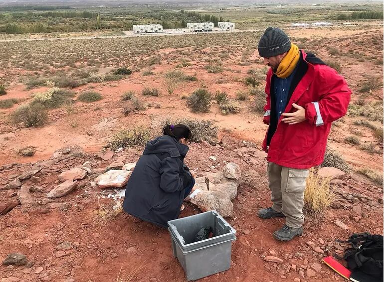 Los investigadores trabajan en el lugar del hallazgo. Foto: LMNeuquén