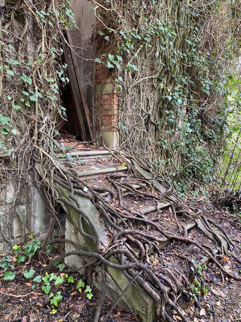 La isla de Poveglia guarda terroríficas historias relacionadas con la peste negra y hospicios. Foto Mirror