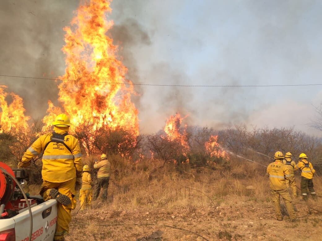 16 mil hectáreas afectadas en el quinto día activo.