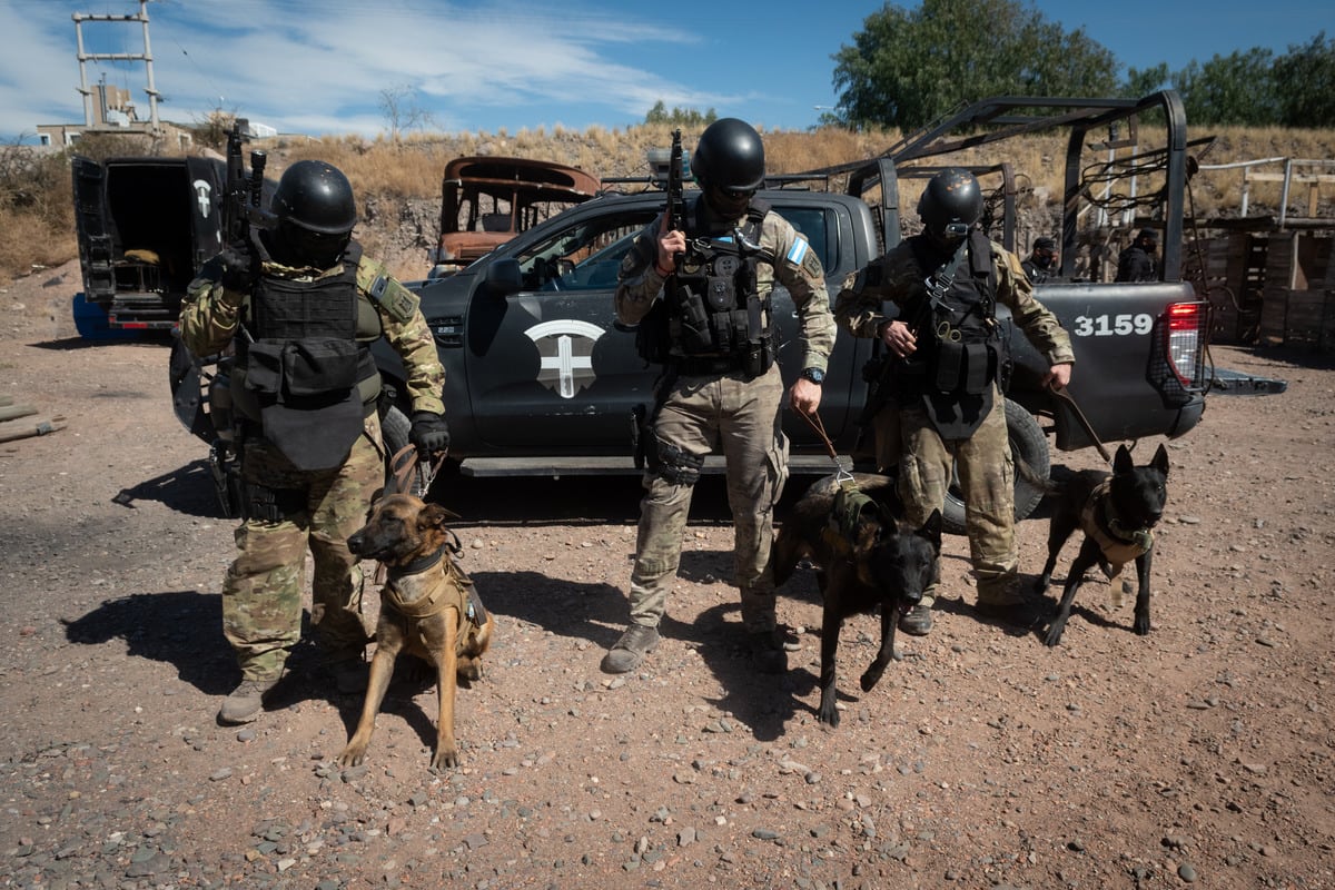 “Kratos”, “Ragnar” y “Floky” integran, junto a sus guías, la sección K-9. Foto: Ignacio Blanco / Los Andes