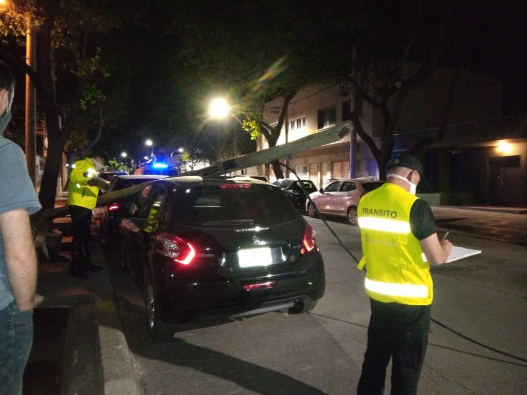 La madera se quebró en la base del poste y se desplomó sobre el auto