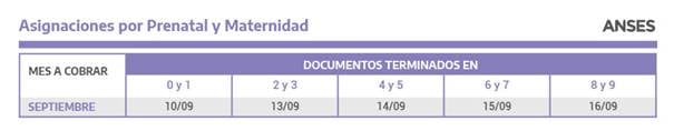 Calendario de pagos Prenatal y Embarazo -Anses-Septiembre 2021