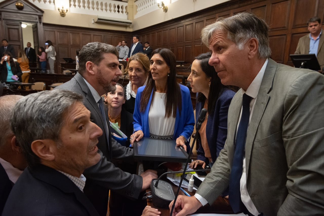 La abogada Daniela Torres pasó el filtro del Senado y se convirtió en jueza
En la votación de la Cámara Alta obtuvo 21 bolillas positivas contra 16 negativas.
El Senado provincial aprobó el pliego de la abogada Daniela Torres, quien había sido postulada por el gobernador Rodolfo Suárez para ser nombrada como jueza penal de Menores de la Tercera Circunscripción Judicial.

Foto: Ignacio Blanco / Los Andes 