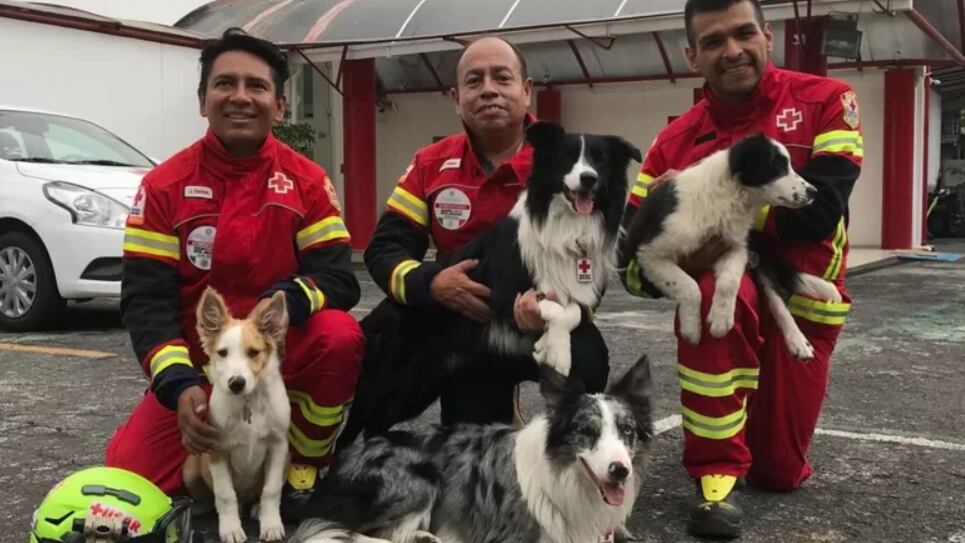 Cruz Roja Querétaro