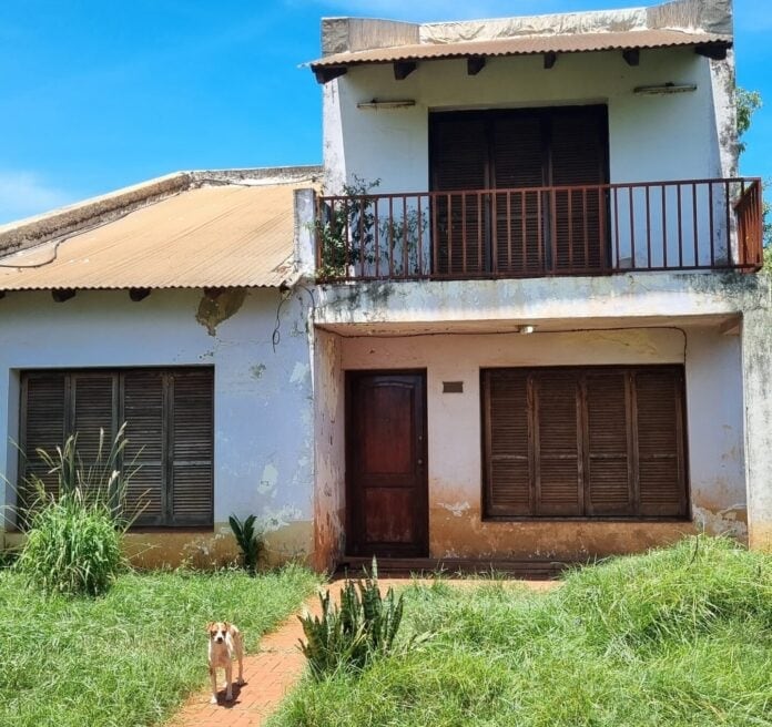 Este martes, el Juez de Instrucción Seis, Ricardo Walter Balor, ordenó que los 40 caninos fueran entregados al hermano de la víctima, al igual que la vivienda. 
Foto: Gentileza Misiones Online