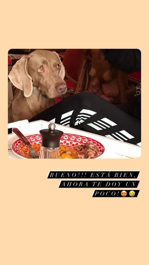 Beto, el perro de Susana.