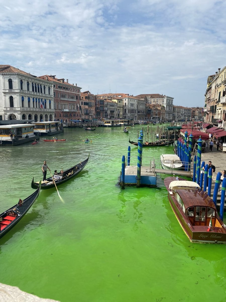 Los canales se tiñeron de verde fosforescente. Foto: UltimoraNet.