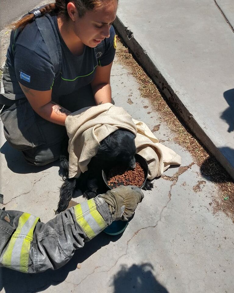 Es bombera, casi pierde su brazo por una bala y le salvó la vida a una perrita coja en un zanjón. Foto: Facebook Bomberos Voluntarios de Godoy Cruz.