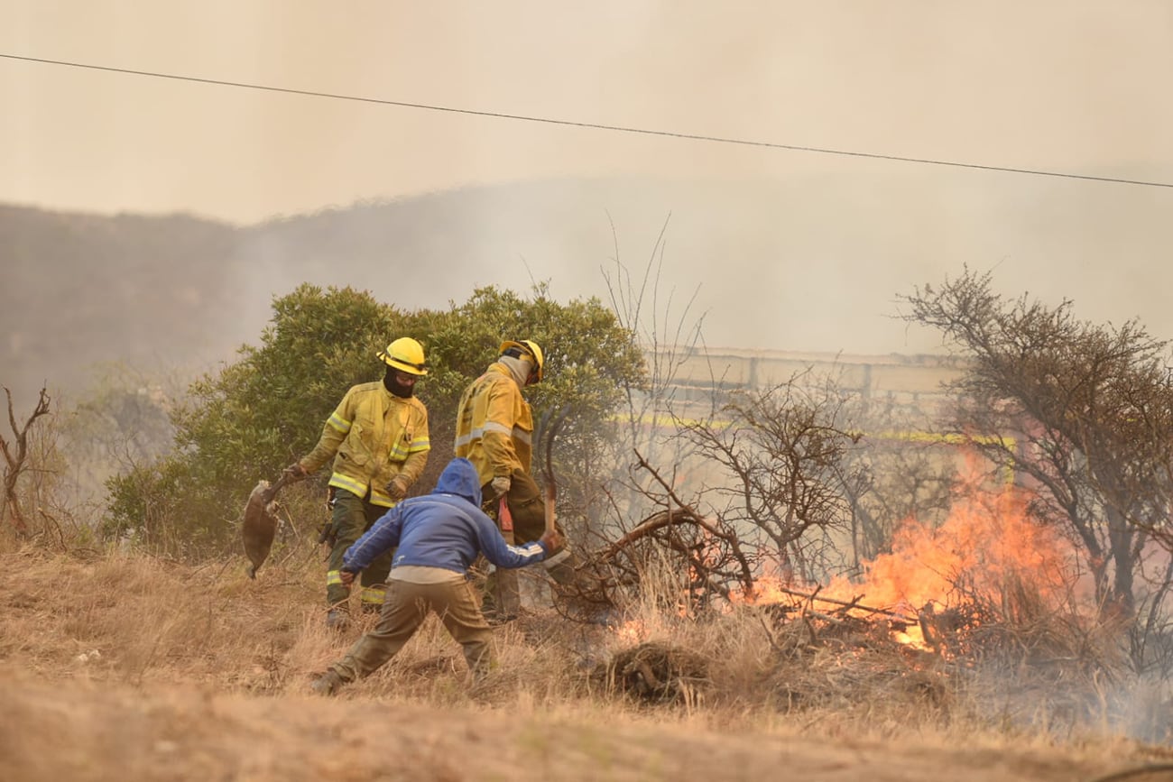 Incendio en la localidad de San Esteban de la provincia de Córdoba. (Carlos Romero / La Voz)