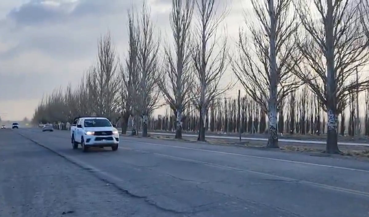 Zonda en Malargüe (Captura de video X / radiomitremza)