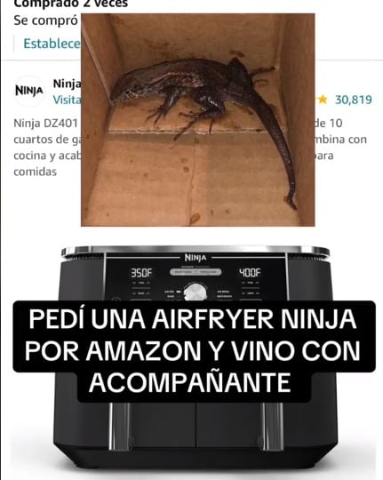 Al abrir el paquete de Amazon se topó con un animal / Captura de video @sofia.serrano.f