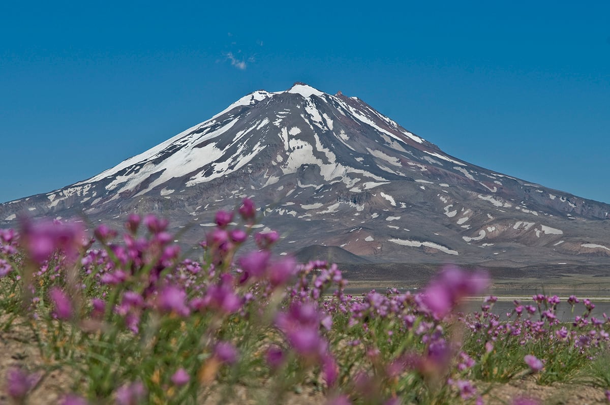 Laguna del Diamante. Prensa Gobierno