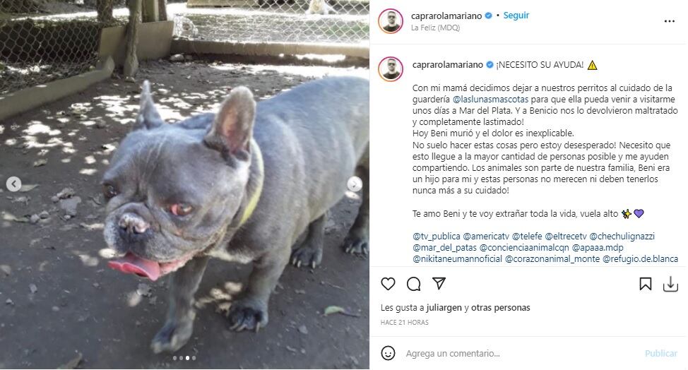 Mariano Caprarola denunció desesperado que le mataron a su perro