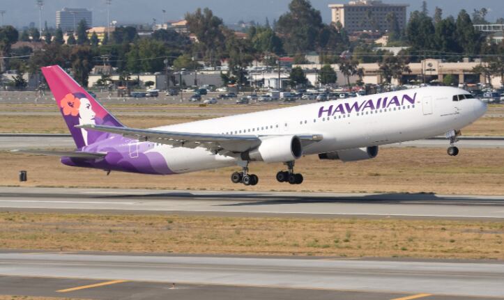 Un pitbull llamado Louis estaba en la bodega de carga del avión de Hawaiian Arlines. Este viajaba de Kona a Honolulu y después a Seattle, pero Louis nunca lo logró. 