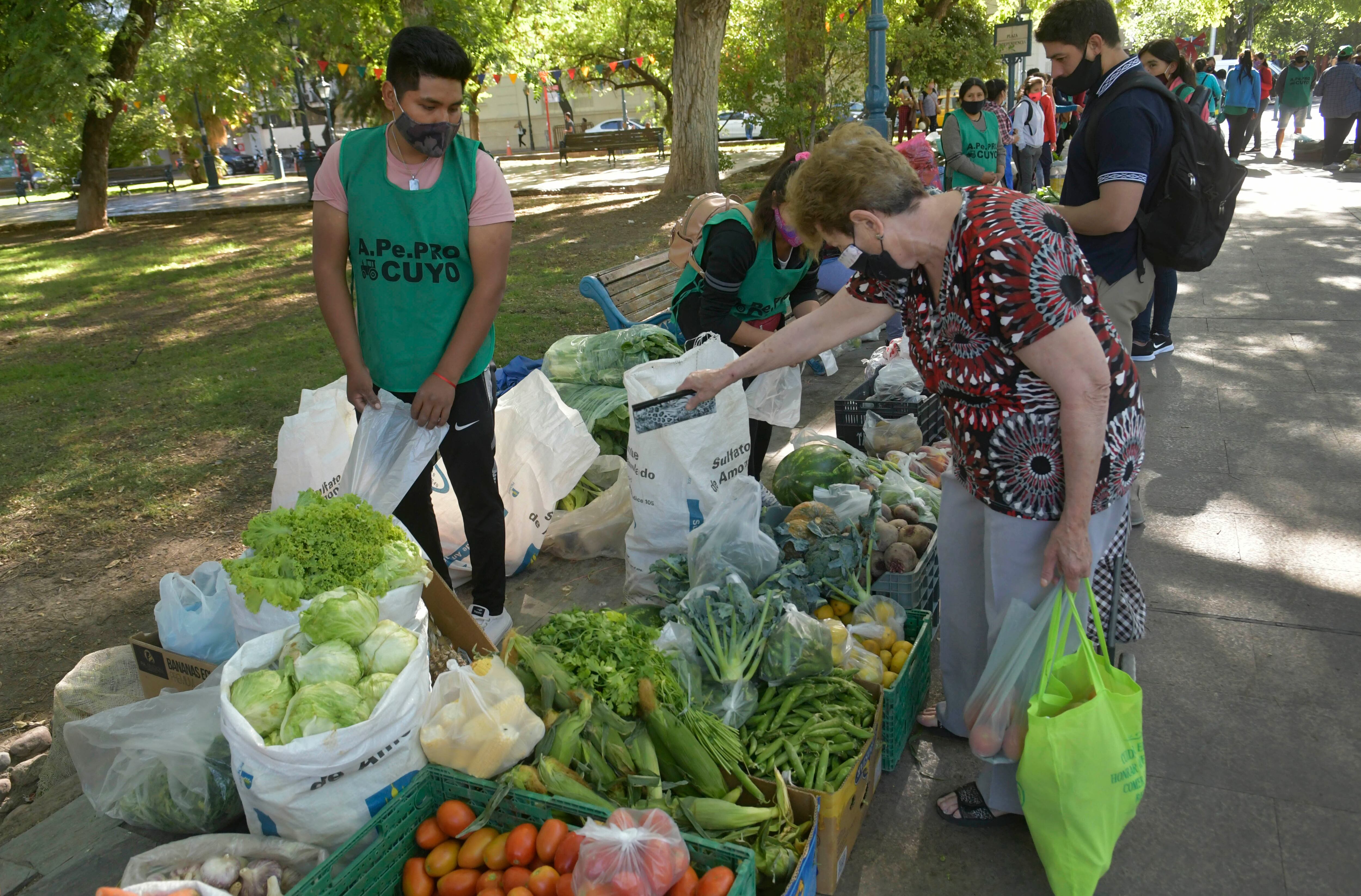 Feria de Pequeños Productores, en Plaza Independencia/ Foto: Orlando Pelichotti / Los Andes

