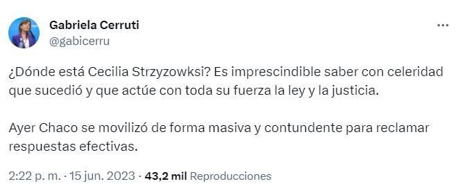 Dirigentes políticos y funcionarios acompañaron el pedido de justicia por Cecilia - Twitter