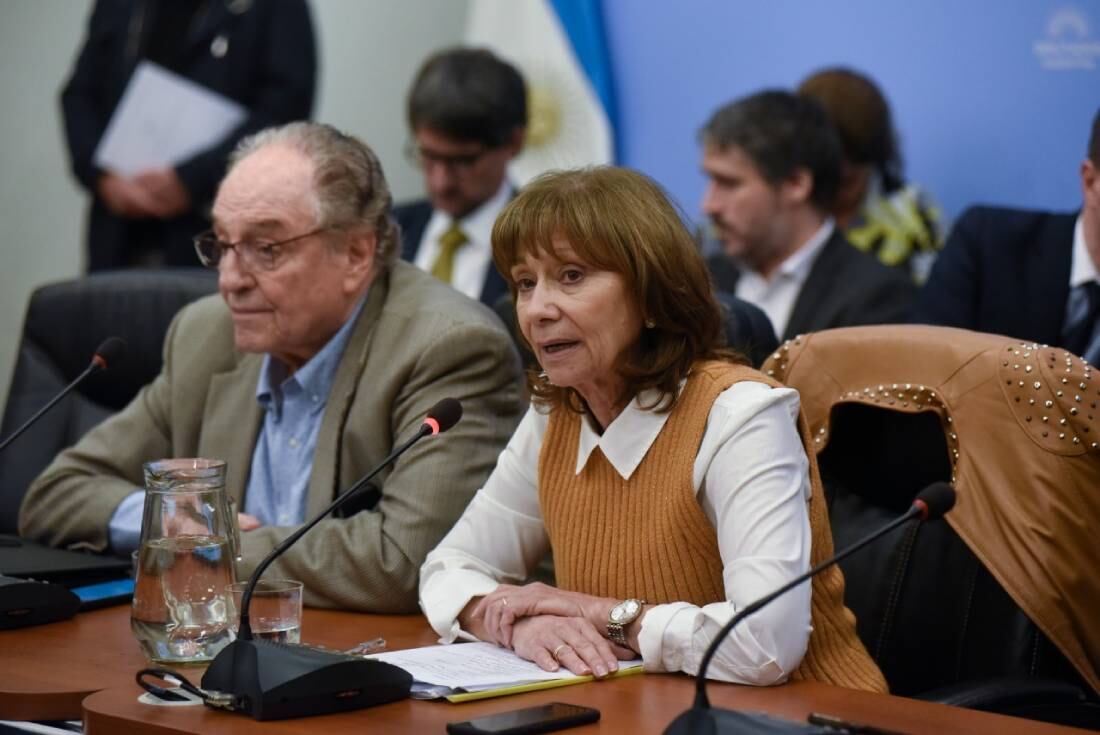 Alicia Aparicio, del Frente de Todos, es la presidenta de la Comisión de Finanzas. Y Carlos Heller, también del oficialismo, es el titular de la comisión de Presupuesto y Hacienda.