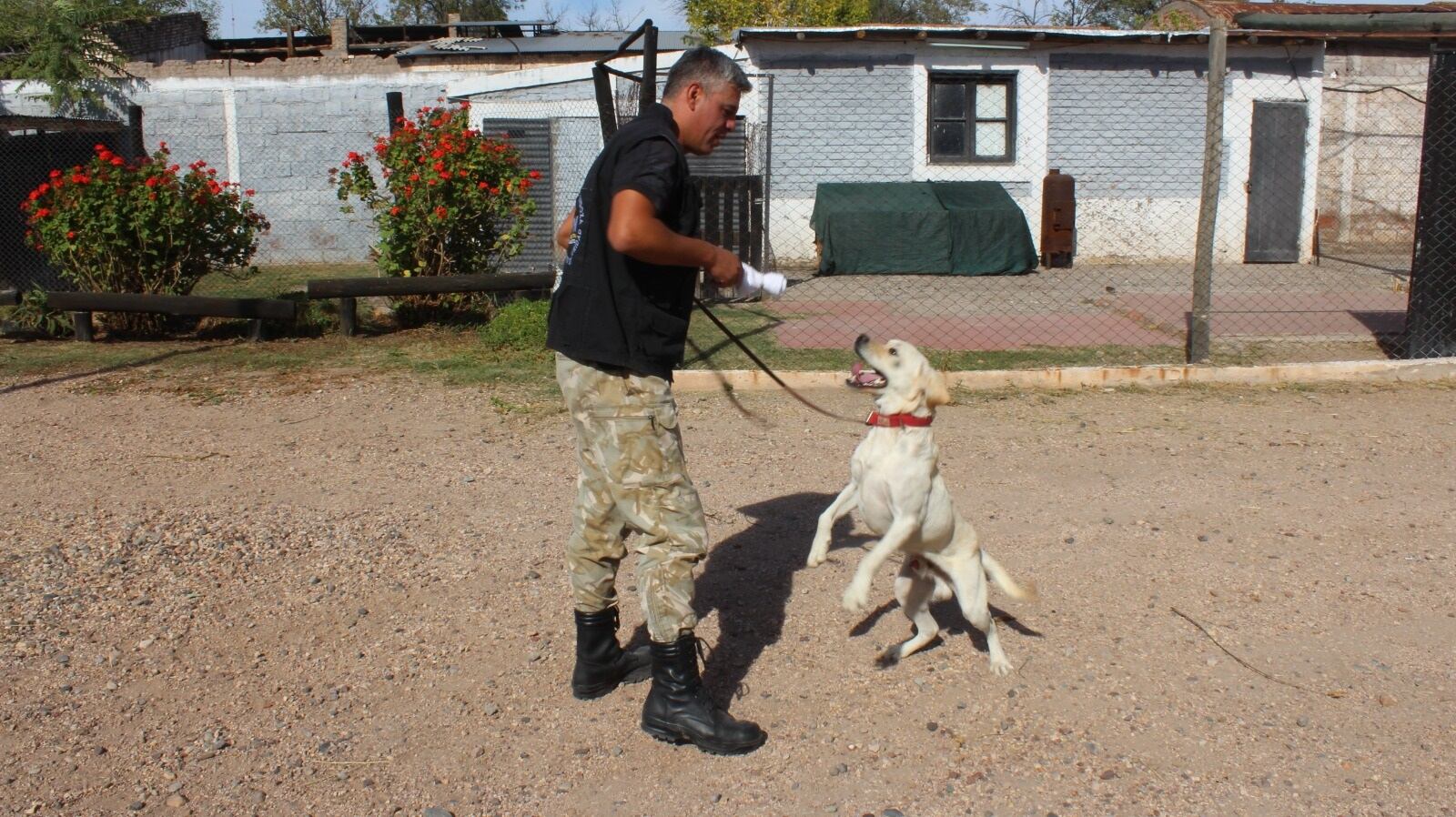 Brutus en su rutina de entrenamiento. - Foto: Ministerio de Seguridad