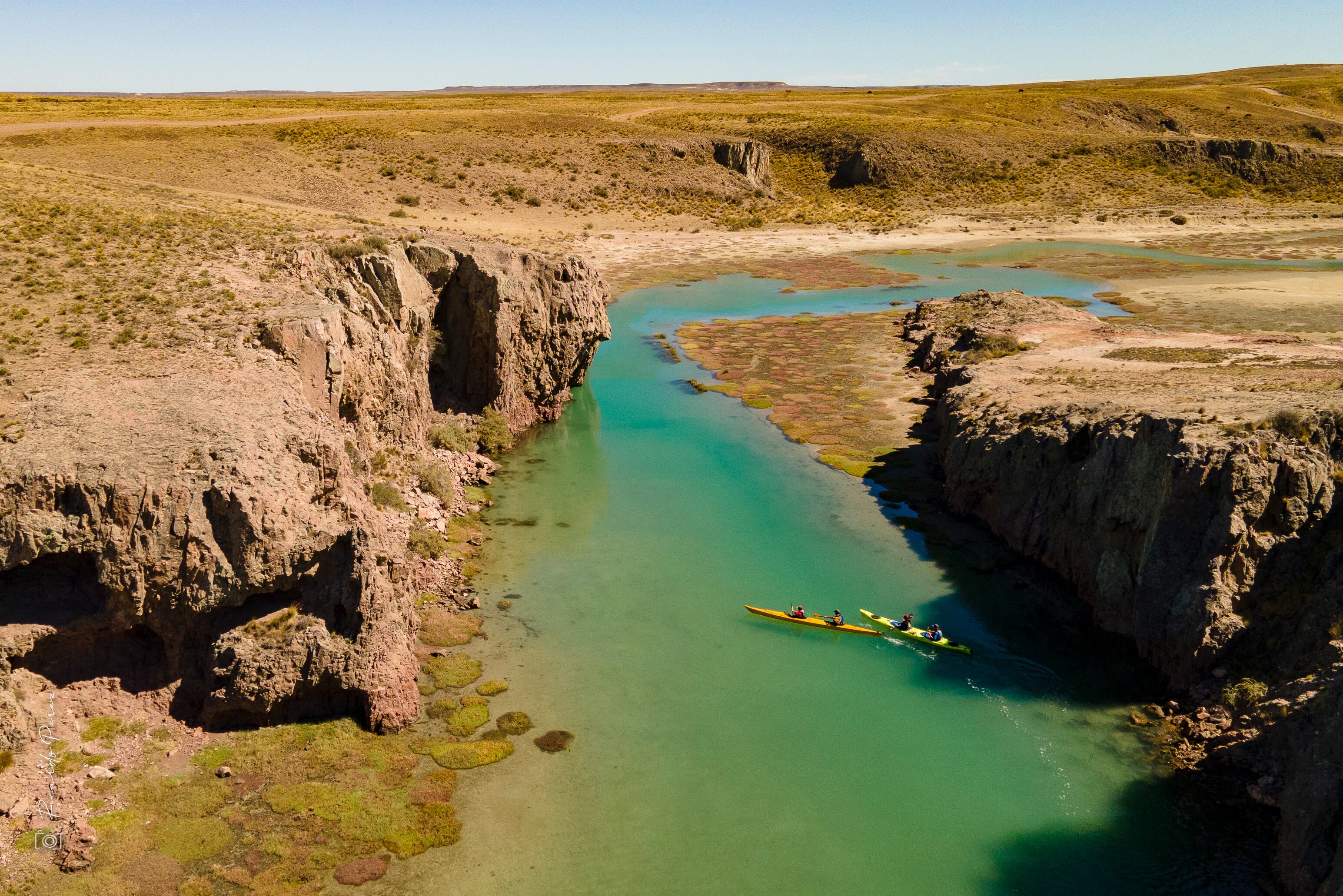 Cuando hay marea alta, en la Ría de Puerto Deseado se despliega un llamativo espectáculo natural, pues allí se concentran gran cantidad de cardúmenes que resultan un banquete para cormoranes, gaviotines y escúas. Foto: Gentileza Turismo Pto. Deseado.