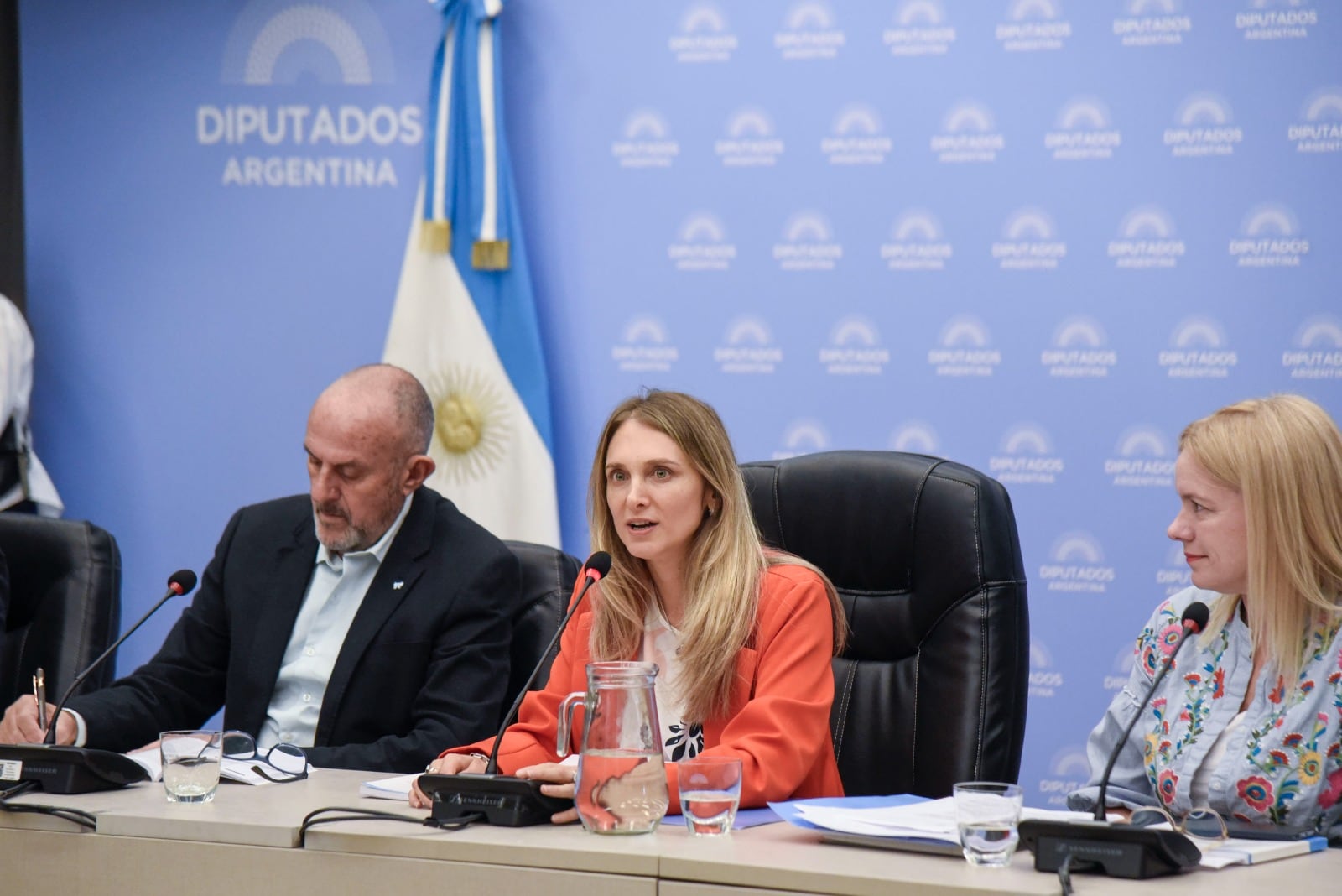 La cordobesa Gabriela Brouwer de Koning (UCR) fue nombrada presidenta de la comisión (Foto: HCDN)