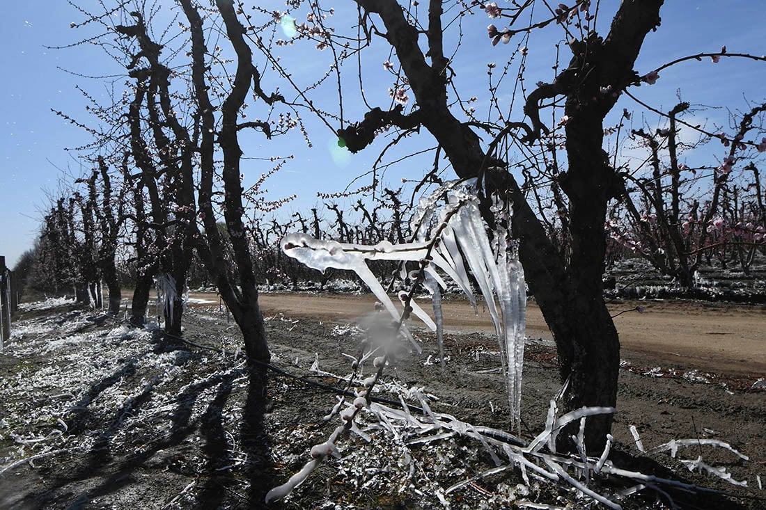 Foto: Claudio Gutierrez /Los Andes 
