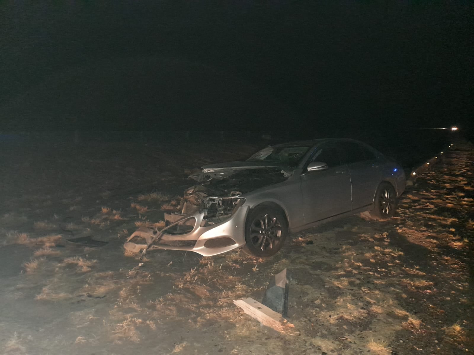 El conductor perdió el control de vehículo, tras embestir a los equinos.