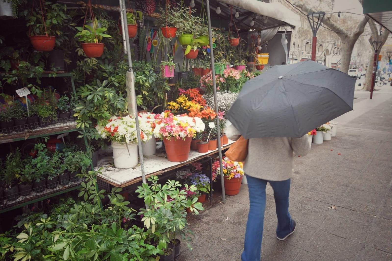 El tiempo en Mendoza: pronostican una primavera más seca y calurosa de lo normal. Foto: Ignacio Blanco / Los Andes.