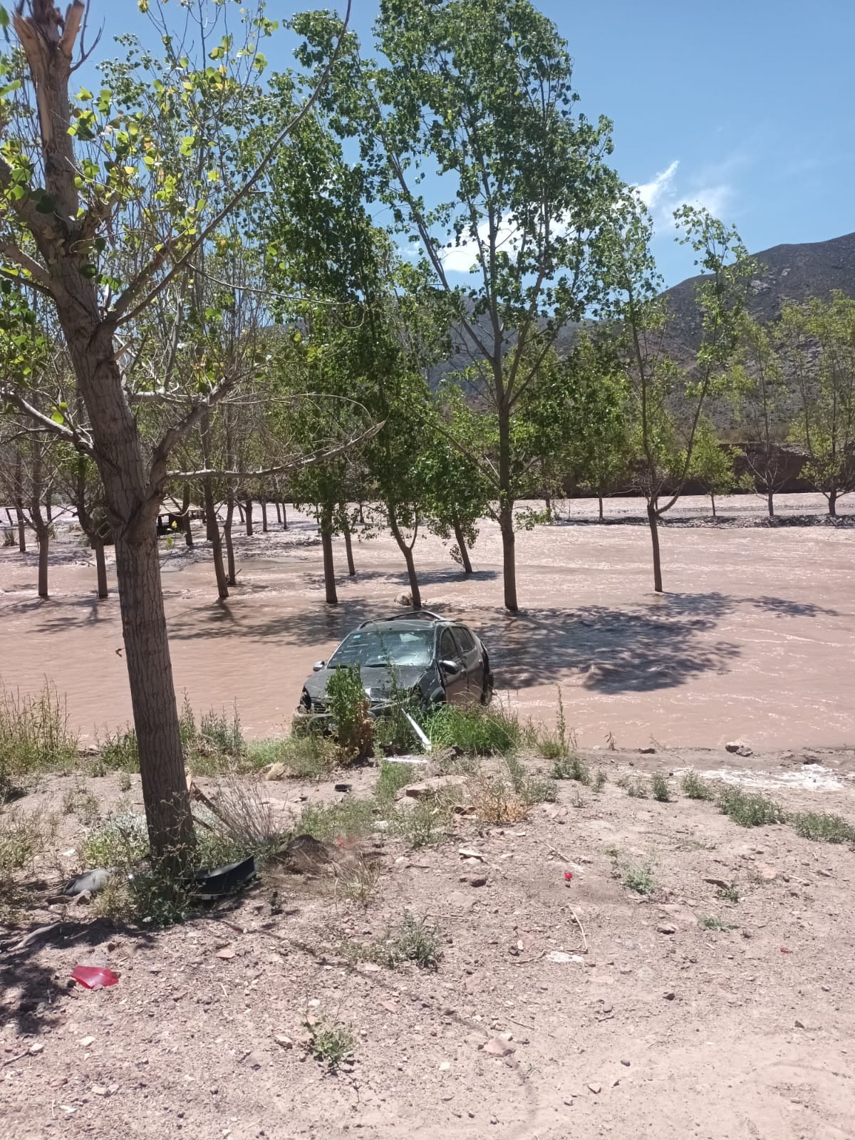 Un auto volcó y terminó en el interior del río Mendoza. Foto: Prensa Seguridad de Mendoza